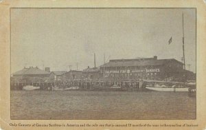 Sardine Cannery California Fish Co Los Angeles San Pedro c1910s Vintage Postcard