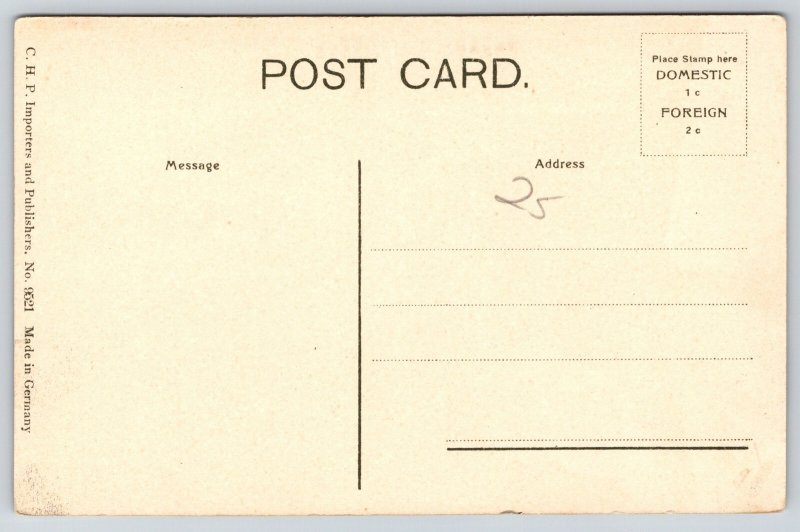 Quincy Illinois~Riverview Park~Quincy Bay~River~Panorama View~Bridge~c1910 PC