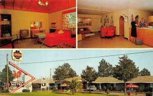 SANTEE, SC South Carolina GAMECOCK MOTEL Room~TV~Lobby ROADSIDE Chrome Postcard