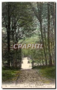 Old Postcard Chantilly Park View