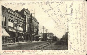 Waukegan IL Genesee St. c1905 Postcard