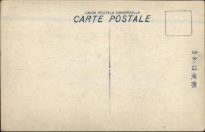 Meisho Arima Japan Birdseye View c1910 Postcard