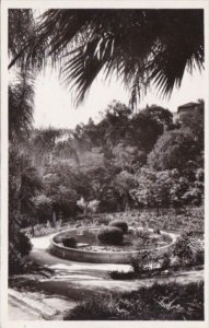 Algeria Alger Le Parc de Galland Piece d'eau Photo