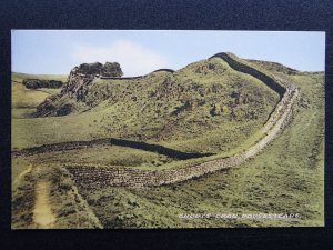 Northumberland HADRIAN'S WALL Housesteads CUDDYS CRAG c1950s Postcard