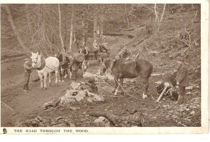 The road through the wood. Horses Tuck Glosso Country Life Ser. PC # 5596
