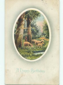 Divided-Back ANIMAL SCENE Great Postcard AA9660