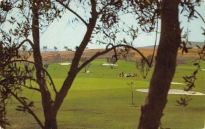 Laguna Hills California Leisure World Golf Course View of Golf Greens PC U2084