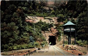 Railroad TUNNEL NATURAL BRIDGE, Kentucky Antique Postcard JC2