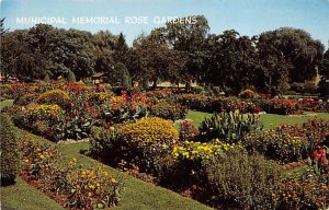 Municipal Memorial Rose Garden Allentown Pennsylvania, PA