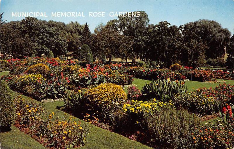 Municipal Memorial Rose Garden Allentown, Pennsylvania PA s 