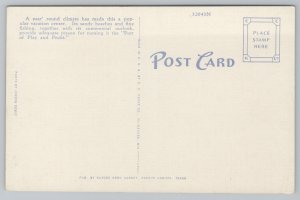 Linen~Palms On Waterfront Corpus Christi Texas~Vintage Postcard