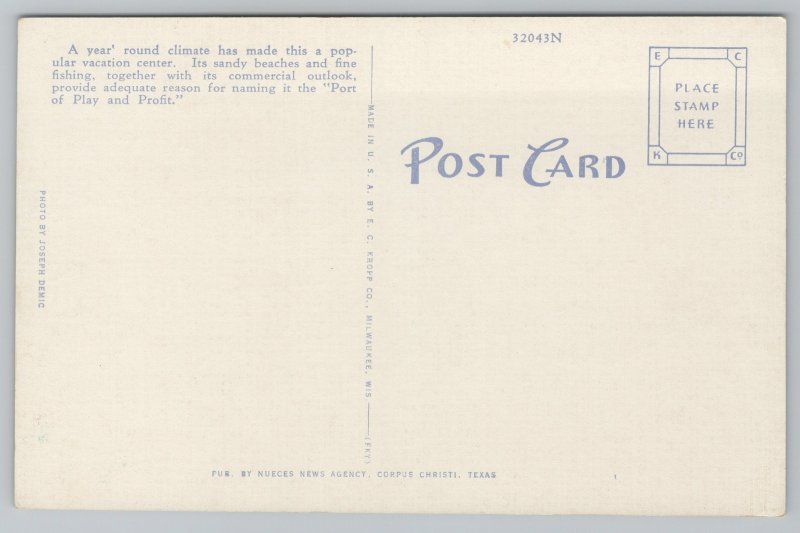 Linen~Palms On Waterfront Corpus Christi Texas~Vintage Postcard