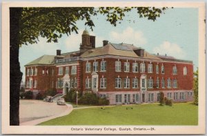 Ontario Veterinary College Guelph Ontario 1940s PECO Postcard H72