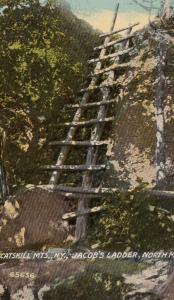 LP36 Catskill Mountains, New York, NY, postcard, Jacob