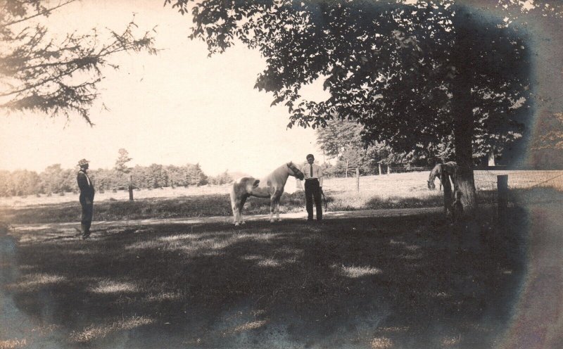 Vintage Postcard Two Men in Pasture w/ White Horse Real Photo RPPC