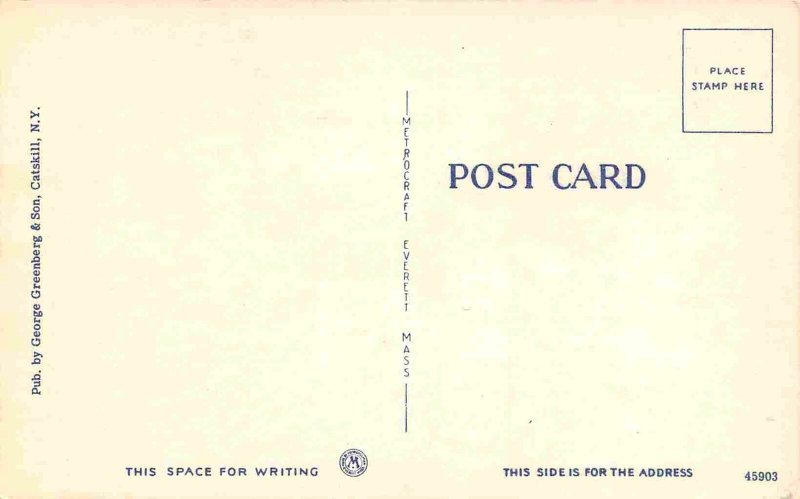 Main Street Looking North Windham New York linen postcard