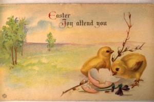 Unused pre-1920 CHICK CHECKING OUT EGGSHELL - nice Easter postcard y4286