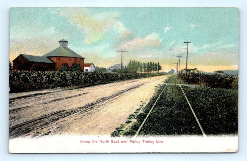 Postcard NY Along the North East & Ripley Trolley Line 1908 View I7