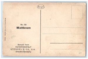 c1940's Wall Walk At The Upper Mill Amberg Germany Unposted Postcard