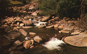 Vintage Postcard Spring Sparkled Water Along U. S. Highway 441 Smoky Mountains