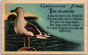 Greetings from the Seashore Seagull A Gay Old Sport is the Seagull Postcard