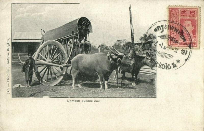 siam thailand, BANGKOK, Siamese Bullock Cart (1912) Postcard