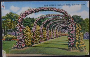 Hartford, CT - Rose Gardens, Elizabeth Park - Shinicolor