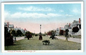 NEW ORLEANS, Louisiana LA ~ AVENUE of PALMS Street Scene ca 1920s  Postcard