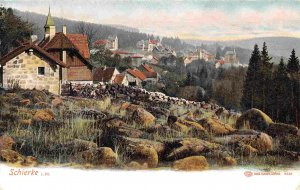 Schierke im Harz Panorama Germany 1905c postcard