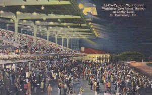 Florida Saint Peterburg Typical Night Crowd Watching Greyhound Racing At Derb...