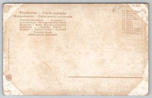 Franz Liszt Hungarian Composer Art Postcard L38