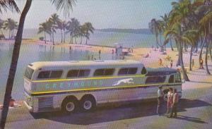 Greyhound Super Scenicruiser