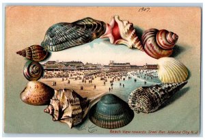 1907 Beach View Towards Steel Pier Atlantic City NJ Shells Embossed Postcard