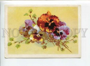 3043159 PANSY Bouquet by C. KLEIN old PC