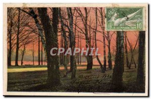 Old Postcard Lyon Tete Golden Park