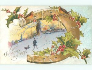 Divided-Back CHRISTMAS BIRDS SCENE Pretty Postcard W8525