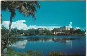 Mirror Lake, St. Petersburg, Florida, Vintage Chrome Postcard #2