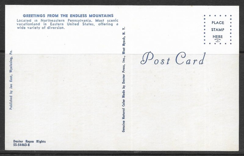 Pennsylvania - Greetings From The Endless Mountains - [PA-536]