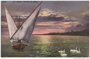 Swans, Coucher De Soleil, LAC LEMAN, Switzerland, 1900-1910s