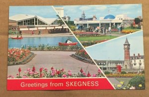  UNUSED POSTCARD -  GREETINGS FROM SKEGNESS, ENGLAND 
