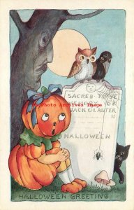 266159-Halloween, Whitney No WNY14-6, JOL Head Pumpkin Girl Sitting Next to Tree