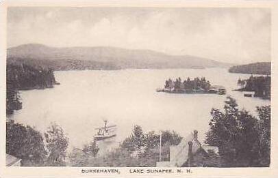 New Hampshire Lake Sunapee Burkehaven Albertype