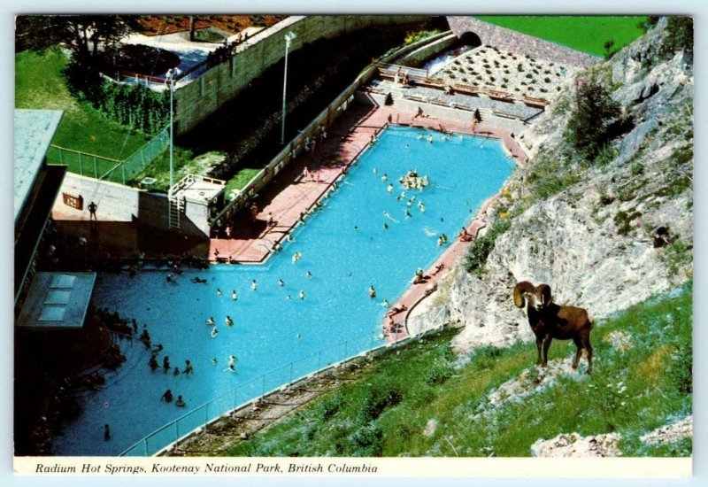 RADIUM HOT SPRINGS, Kootenay National Park B.C. Canada AQUACOURT 4 x 6 Postcard