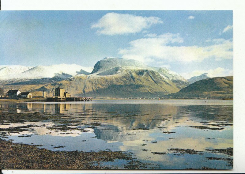 Scotland Postcard - Ben Nevis - Fort William - Inverness-shire - Ref 8460A