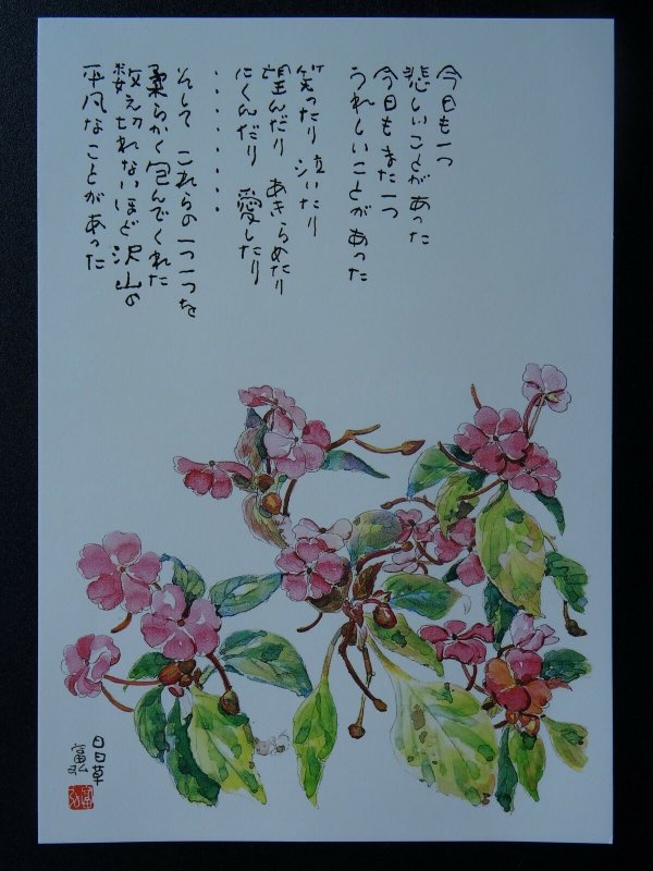 DAYBY DAY FLOWER Paintings Poems by Japanese Disabled Artist Tomihiro Hoshino PC