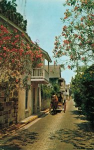 USA Florida St Augustine Oldest City in USA Vintage Postcard 07.75