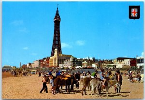 M-78180 Donkey Riding Central Beach Blackpool England