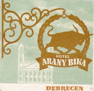 Hungary Debrecen Hotel Arany BikaVintage Luggage Label sk3827