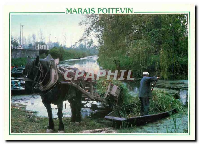 Postcard Modern Marais Poitevin Situated on both sides