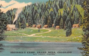 Grand Mesa Colorado Squirrel's Camp Vintage Postcard AA79846
